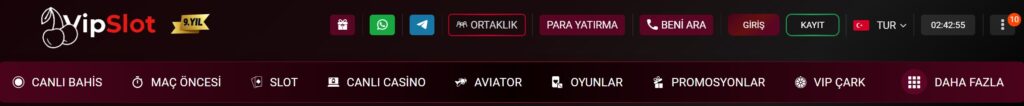 vipslot hakkında