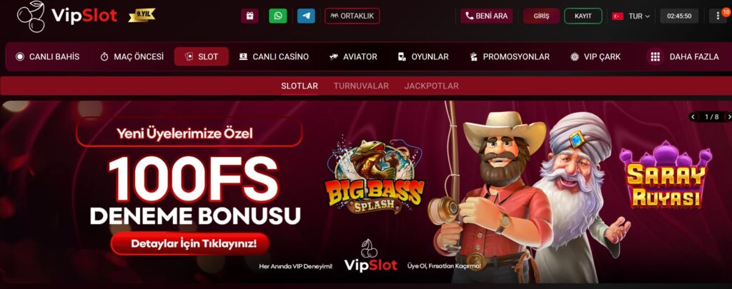 vipslot slot oyunları
